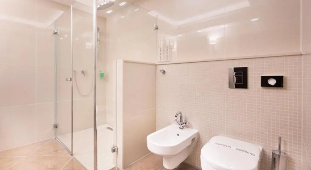 Номер Standard Hotel Dvorana