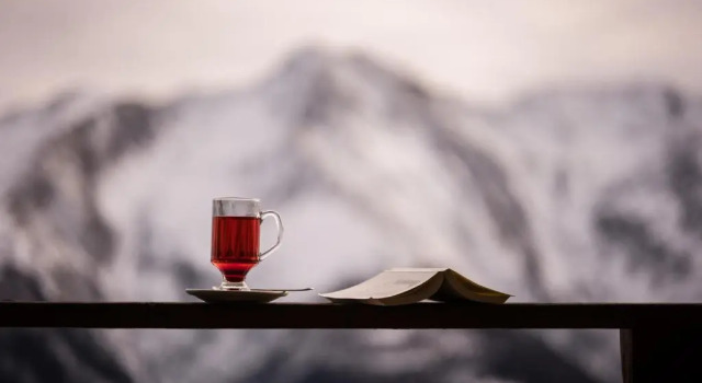 Полулюкс Panorama Hotel & Restaurant