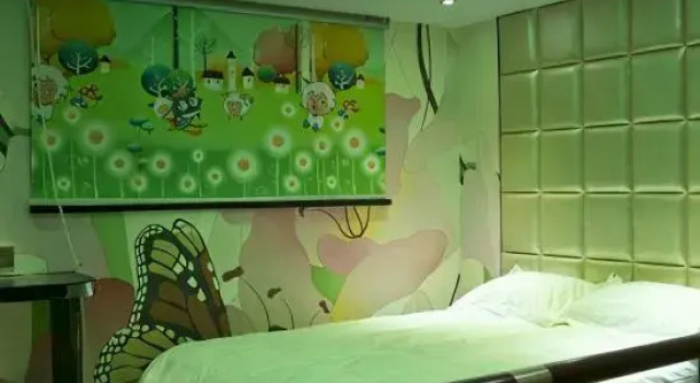 Люкс Deluxe Zexuan Boutique Hotel (Subway Station Store, Zhenping Road, Shanghai)