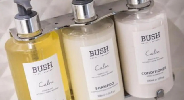 Семейный номер Classic Bush Hotel Farnham