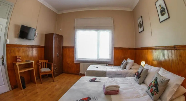 Трёхместный номер Standard Hotel Albatros