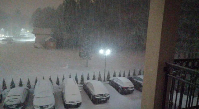 Апартаменты Apartman Aleksandra S27 - Vila Elsa I Zlatibor