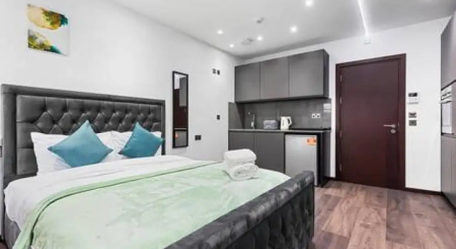 Апартаменты Modern Spacious Suite Sleeps 4 in Central London