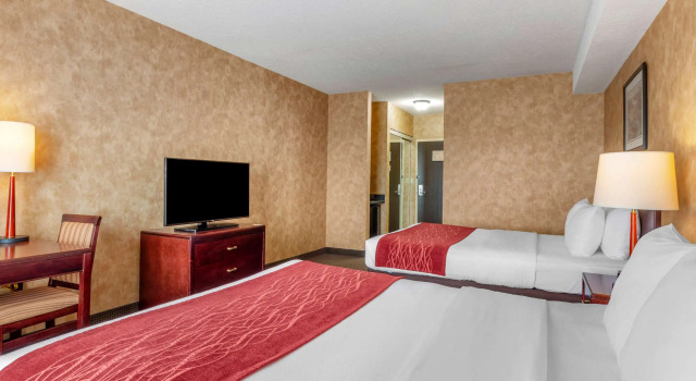 Четырёхместный номер Standard Comfort Inn