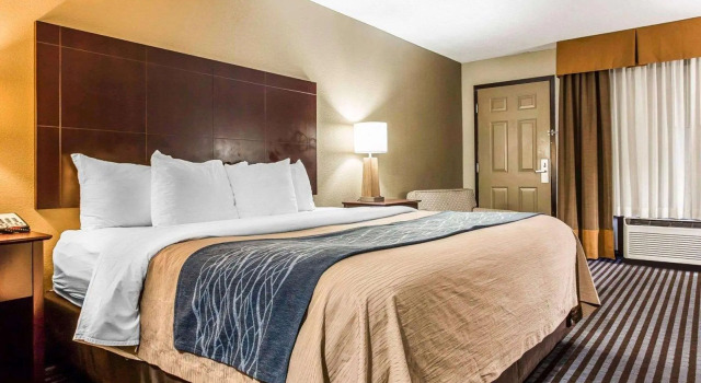 Двухместный номер Standard Comfort Inn & Suites Ballpark Area