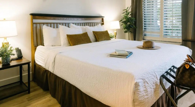 Номер Standard L3 Oasis Hotel