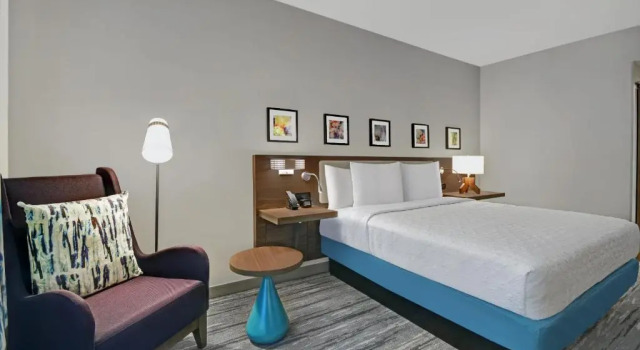 Двухместный номер Deluxe Hilton Garden Inn Houston Medical Center, TX