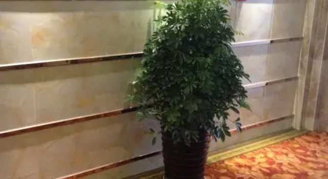 Nanning Yongyuan Express Hotel, Rezerwuj Hotel Hotele w Nanning z parkingiem, Parking