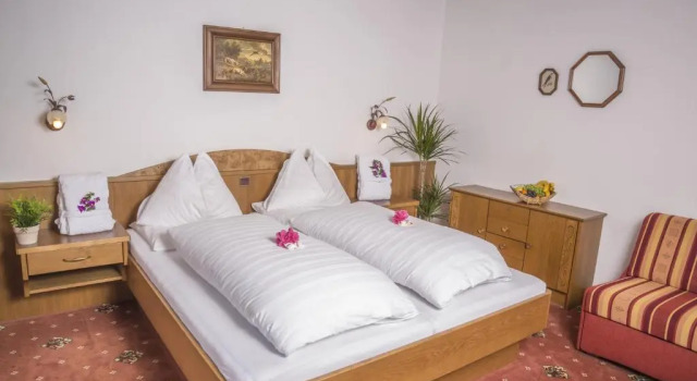 Двухместный номер Standard Hotel Sonne