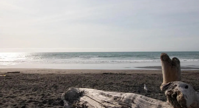 The Dunes At Fitzroy Beach - Unit 2, Забронировать Отель Нью-Плимут Stratford Mountain Club, рядом с Te Rewa Rewa Bridge
