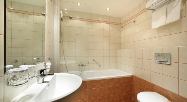 Двухместный номер Economy Wellness Hotel Zlatá Hvězda