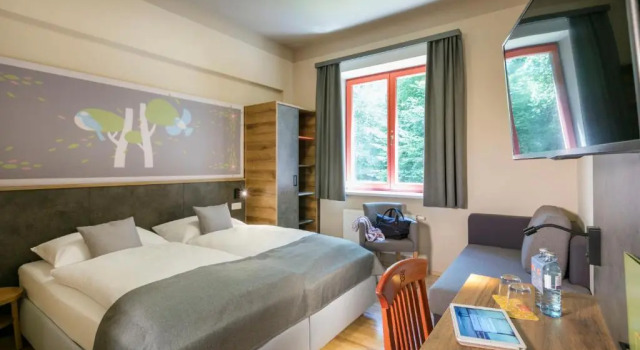 Двухместный номер Standard JUFA Hotel Mariazell