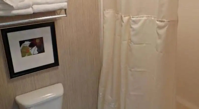 Четырёхместный номер Standard Phoenix Inn Suites Albany