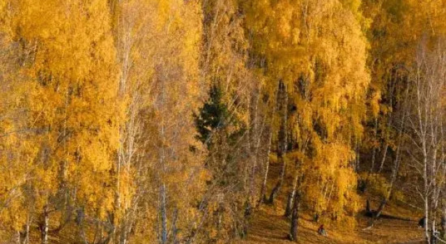 Shanyu Linxi · Baihualin View, Medieval Aesthetics Coffee Resort Homestay (Hemu Old Village Branch), Rezerwuj Ośrodek wypoczynkowy Hom Xinjiang