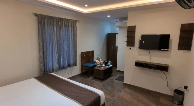 Номер Deluxe Hotel Olive Leave's