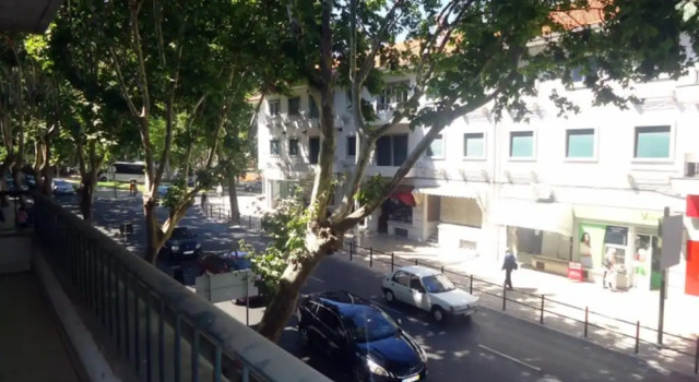 Номер Standard Palm Guesthouse