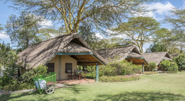 Тент с видом на парк Sweetwaters Serena Camp