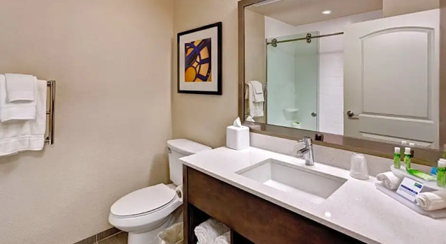Люкс Standard Holiday Inn Express & Suites Manhattan by IHG