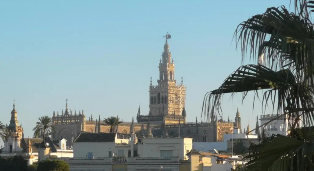 Betis del Oro