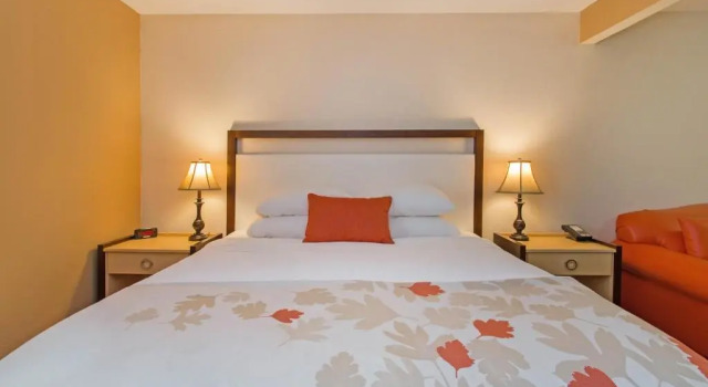 Номер Standard Hawthorn Suites by Wyndham Allentown-Fogelsville