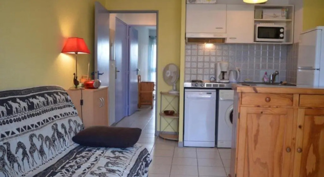 Appartement Saint-Cyprien, 2 pièces, 4 personnes - FR-1-225D-85