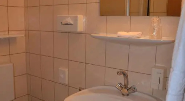 Одноместный номер Standard Hotel Pirsch
