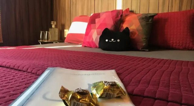 Номер Economy Pousada Casa dos Gattos - Próx ao Aeroporto Guarulhos