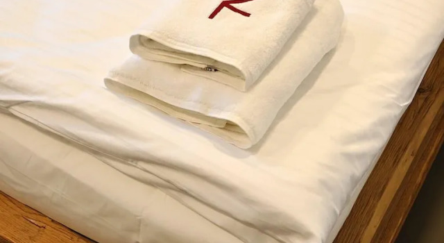 Апартаменты Hotel Ryzlink
