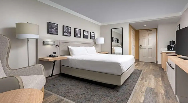Номер Deluxe Hilton Garden Inn Chattanooga Downtown