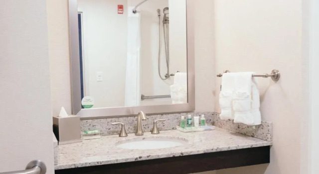 Двухместный номер Standard Holiday Inn and Suites East Peoria by IHG