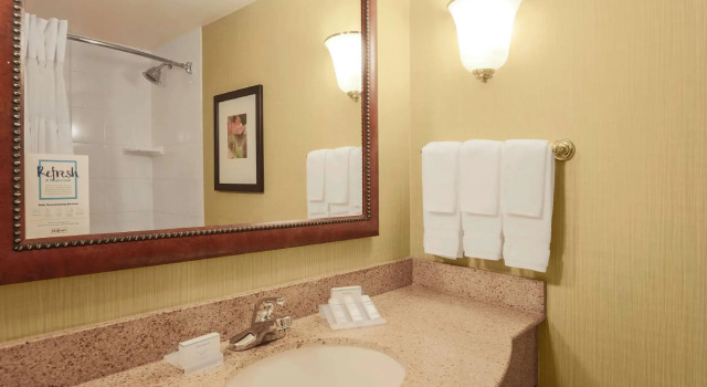 Четырёхместный номер Standard Hilton Garden Inn Chicago/Midway Airport