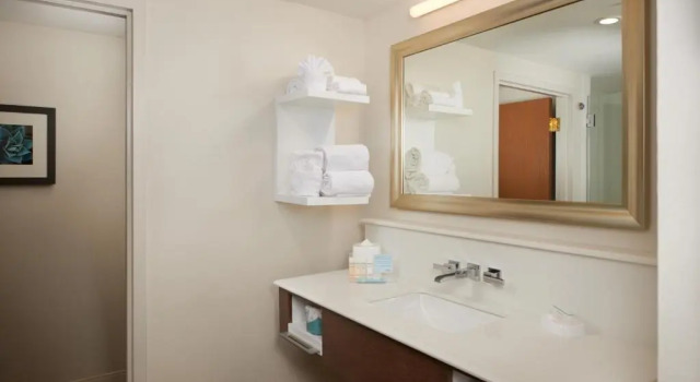 Двухместный номер Premium Hampton Inn & Suites Phoenix/Scottsdale