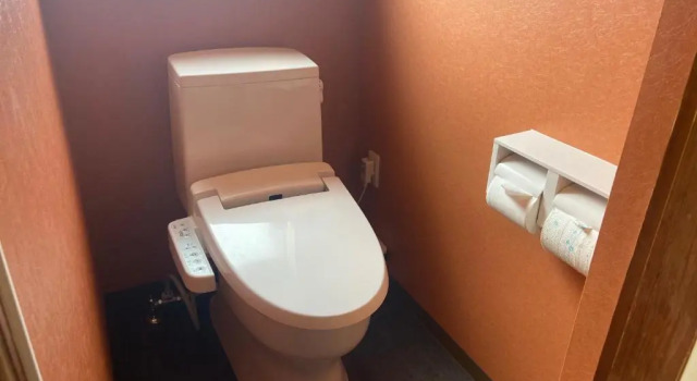 Кровать в общем номере (женский номер) GUESTHOUSE富士と碧
