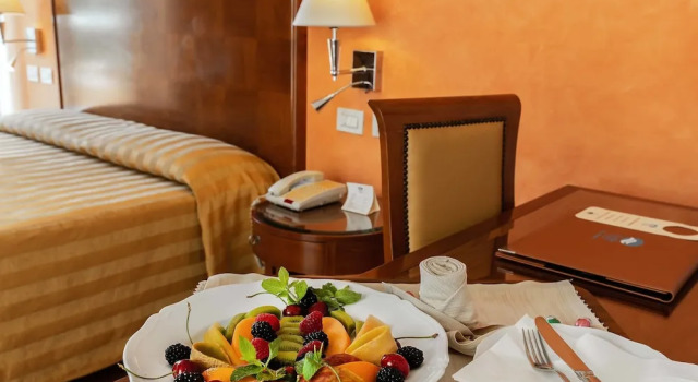 Одноместный номер Standard Versilia Palace Hotel