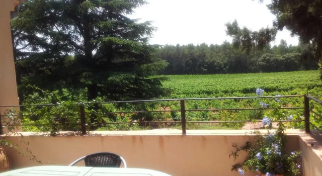 Студия Les Vignes de Terrisse