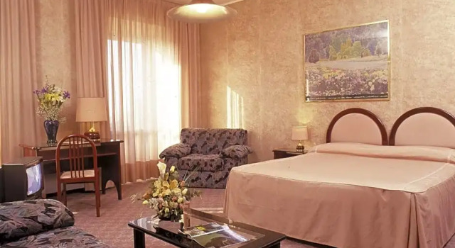 Одноместный номер Standard Balletti Palace Hotel