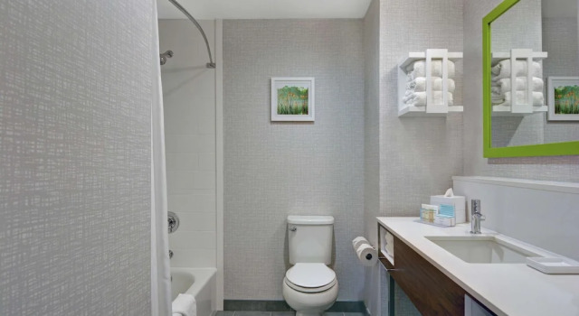 Четырёхместная студия Hampton Inn & Suites Middleburg