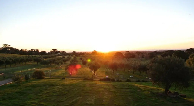 Апартаменты The Farm Willunga