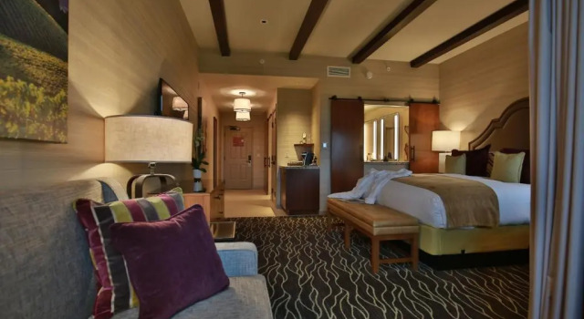 Номер Deluxe Vinarosa Resort & Spa