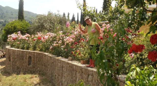 Апартаменты Linda House Corfu
