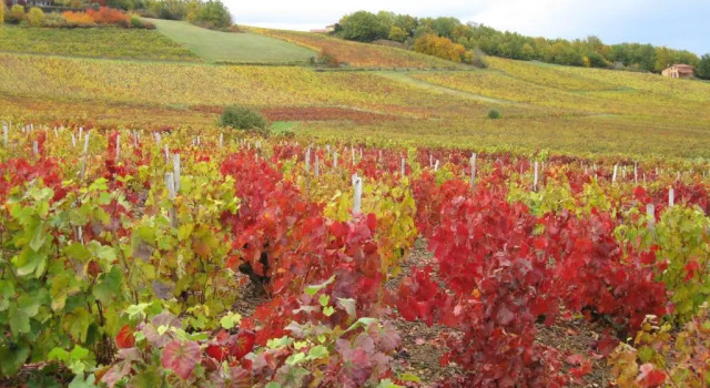Domaine des Aloets, Prenota Hotel Moiré 