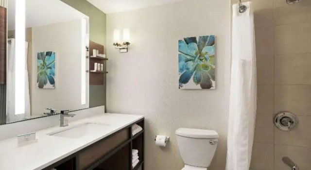 Двухместный номер Premium Hilton Garden Inn Charlotte/Ayrsley