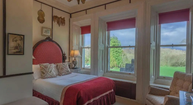 Standard cameră Ballyseede Castle