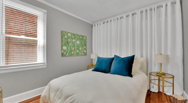 Stunning Apartment near Palmer Park/Free Parking