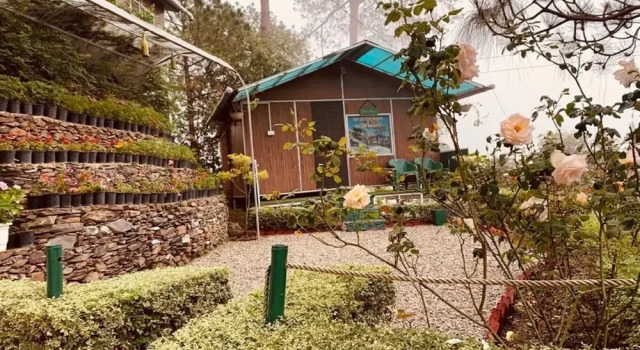 Номер Economy The Cocoon Camps & Nature Resorts