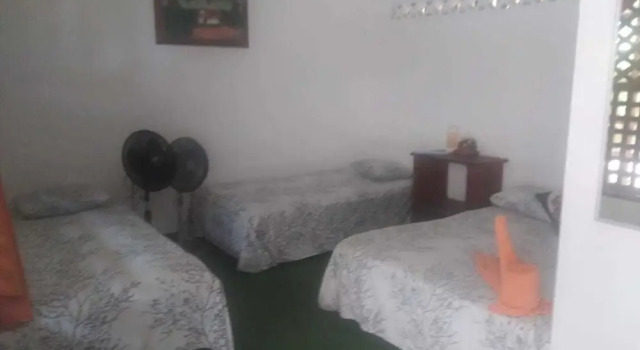 Семейный номер Standard Cabinas Balcon de Mar Tortuguero