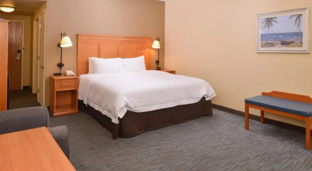 Номер Standard Hampton Inn & Suites Tampa East Casino Area