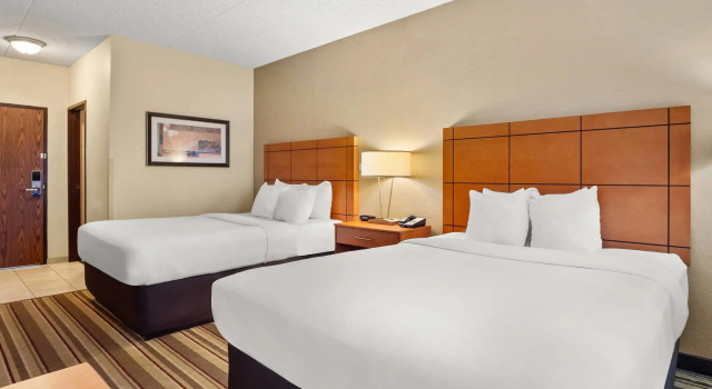 Четырёхместный номер Standard Comfort Inn Metro Airport