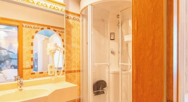 Superior Single quarto Hotel Plankl
