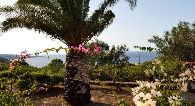 Dammuso Villa Lella, Buchen Sie Villa Villen in Pantelleria, Villa